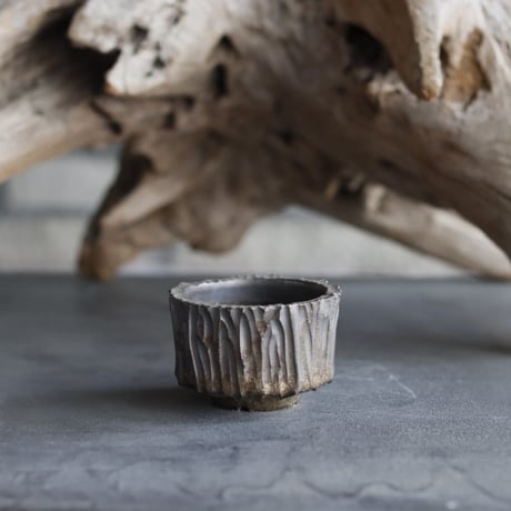 TAKERO POT / Tetsu  (2.5号鉢)  no.323-23