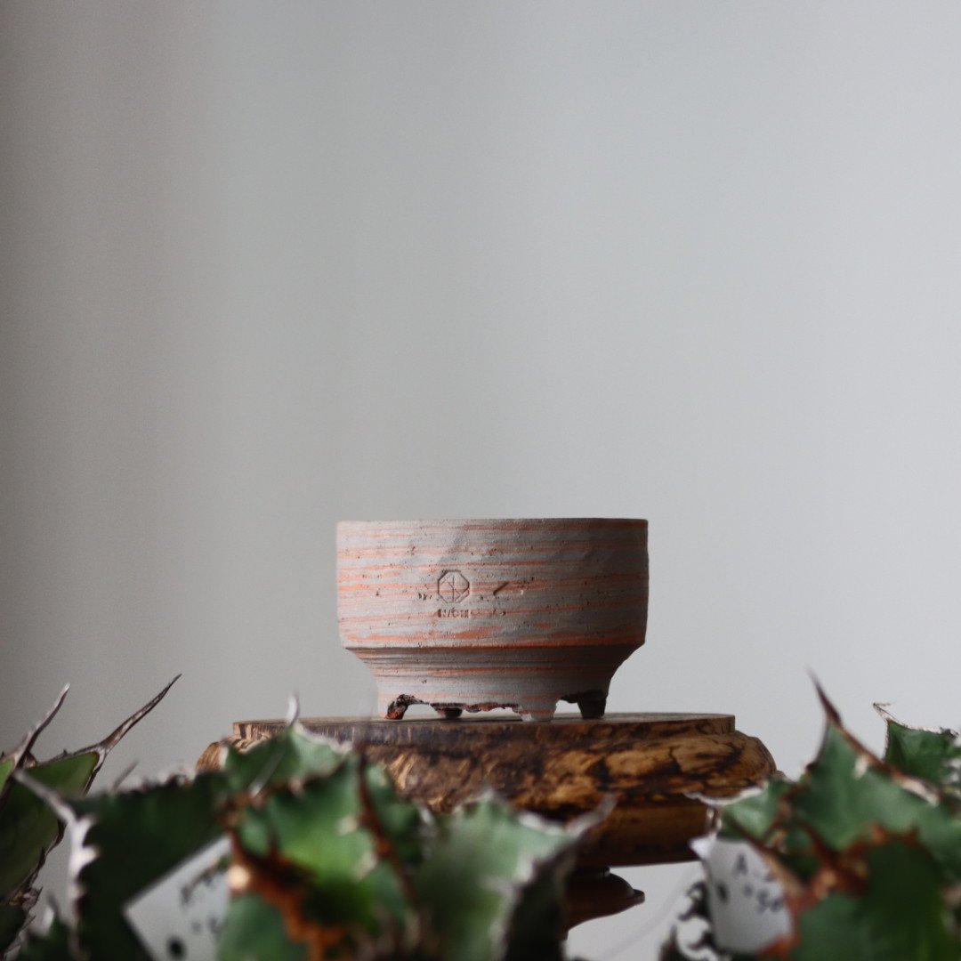 N/OH 鉢 MARBLE NOHBLE 証明書付き N/OH / コロ鉢 / MARBLE NOHBLE +