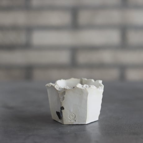 CATEGORY 3号鉢 | 芽の巣山