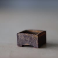 KEI CONDO (盆栽鉢 1.5号) / twinz bonsai  no.913-89