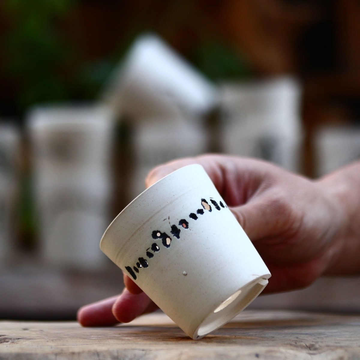 たけろうポット/ハク/ムシクイ/シリンダーS no.219-83 | 芽の巣山