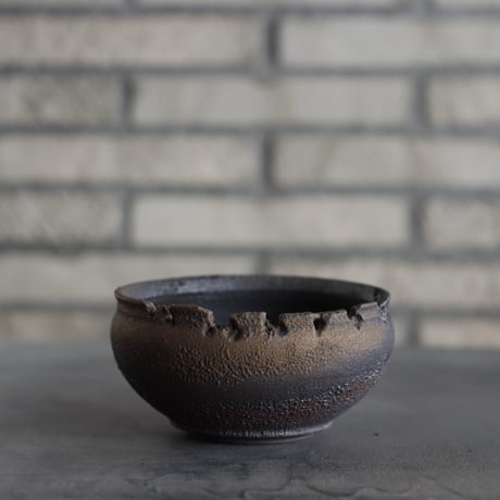 CATEGORY たけろうポット | 芽の巣山