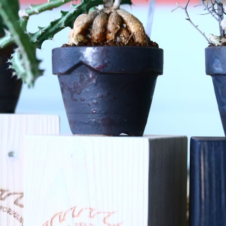 【TENN】YAMABACHI var. takero pot / 3color set
