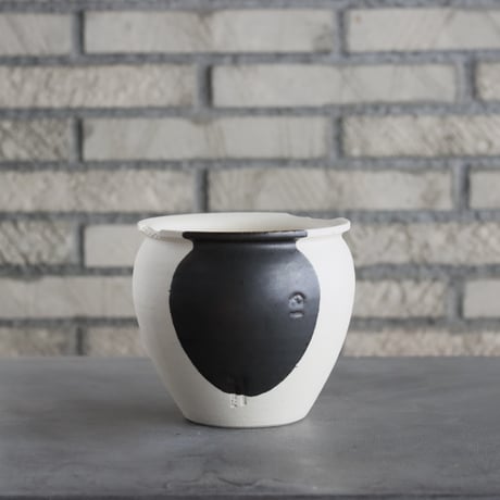 CATEGORY N/OH | 芽の巣山