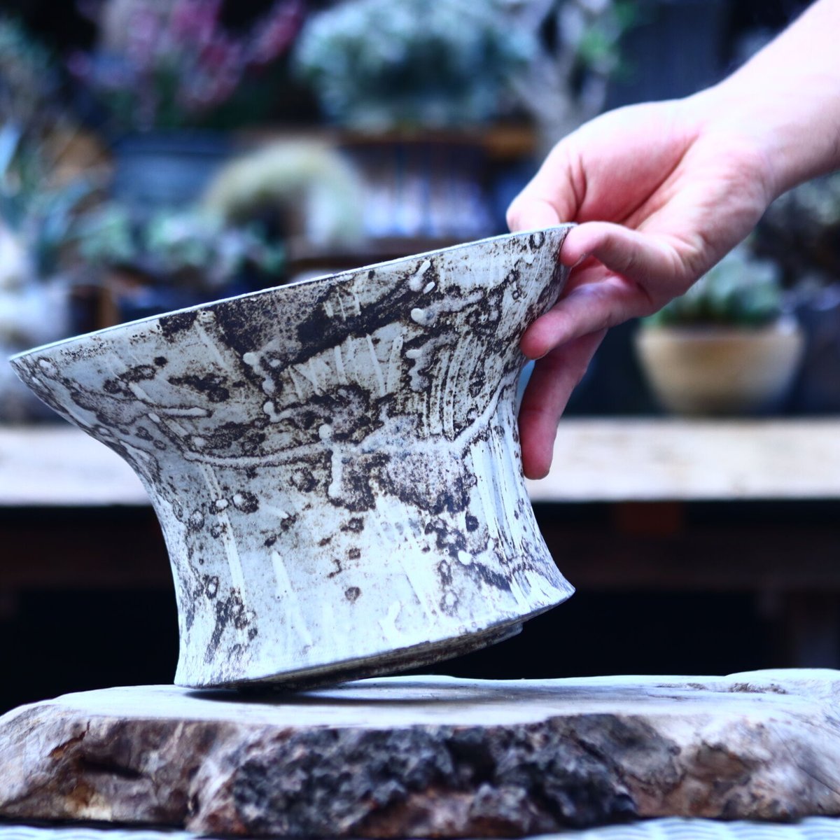 たけろうポット 大鉢 / 台形 / シロサビ no.1226-06 | 芽の巣山