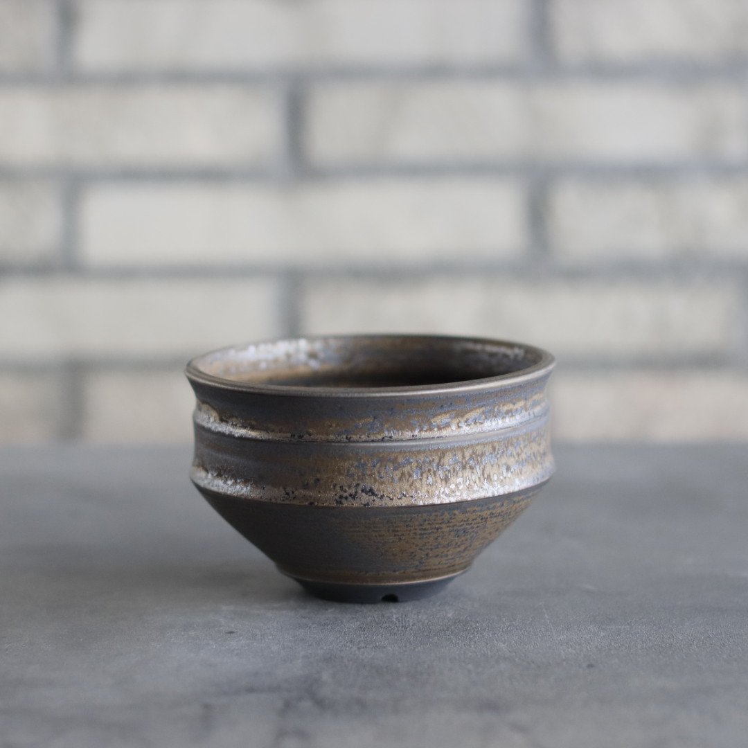 Yuta Uchida / gold rust (4号鉢) no.125-12 | 芽の巣山