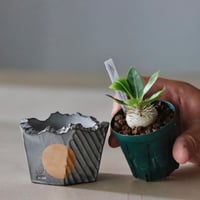 たけろうポット 美品 白錆 陶器 シロサビ | STORES