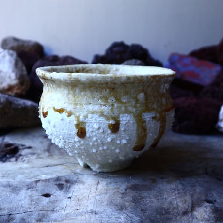 HAKASEPOT   SHIROTSUBU  /  ivory     no.40520