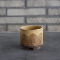 Masato Akutsu / crack ocher / humanity (2.5号)  no.517-101