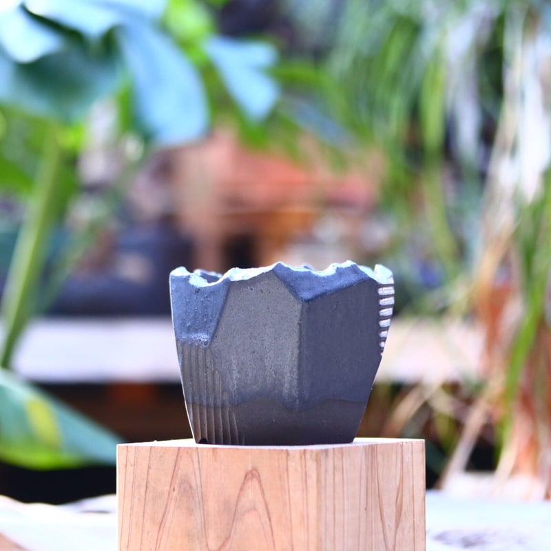 N/OH 澪標 紅富士 SSサイズ 鉢 陶器鉢/サボテン 植物 【公式通販】