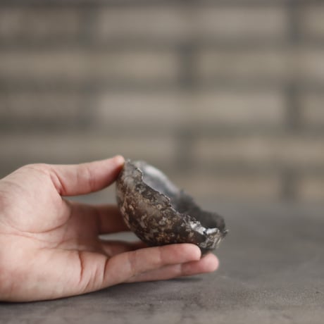 TAKERO POT / Chigiri / Shirosabi (浅鉢)/ マメ (2.5号) no.928-39