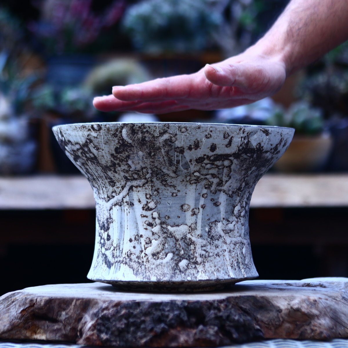 たけろうポット / 大鉢 / シロサビ たけろうポット 大鉢 / 台形 / シロサビ no.1226-06 | 芽の巣山