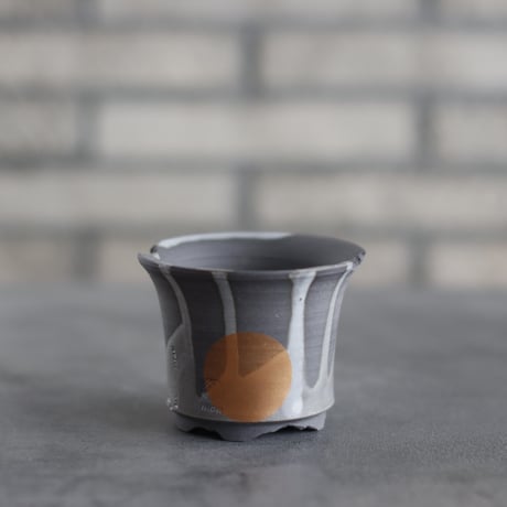 CATEGORY N/OH | 芽の巣山