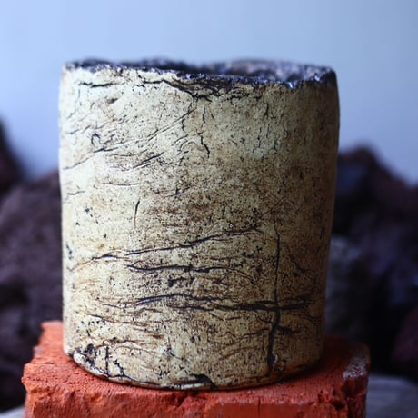 Kaori  Ono 〝gaia″   /   humanity pot       no.42511