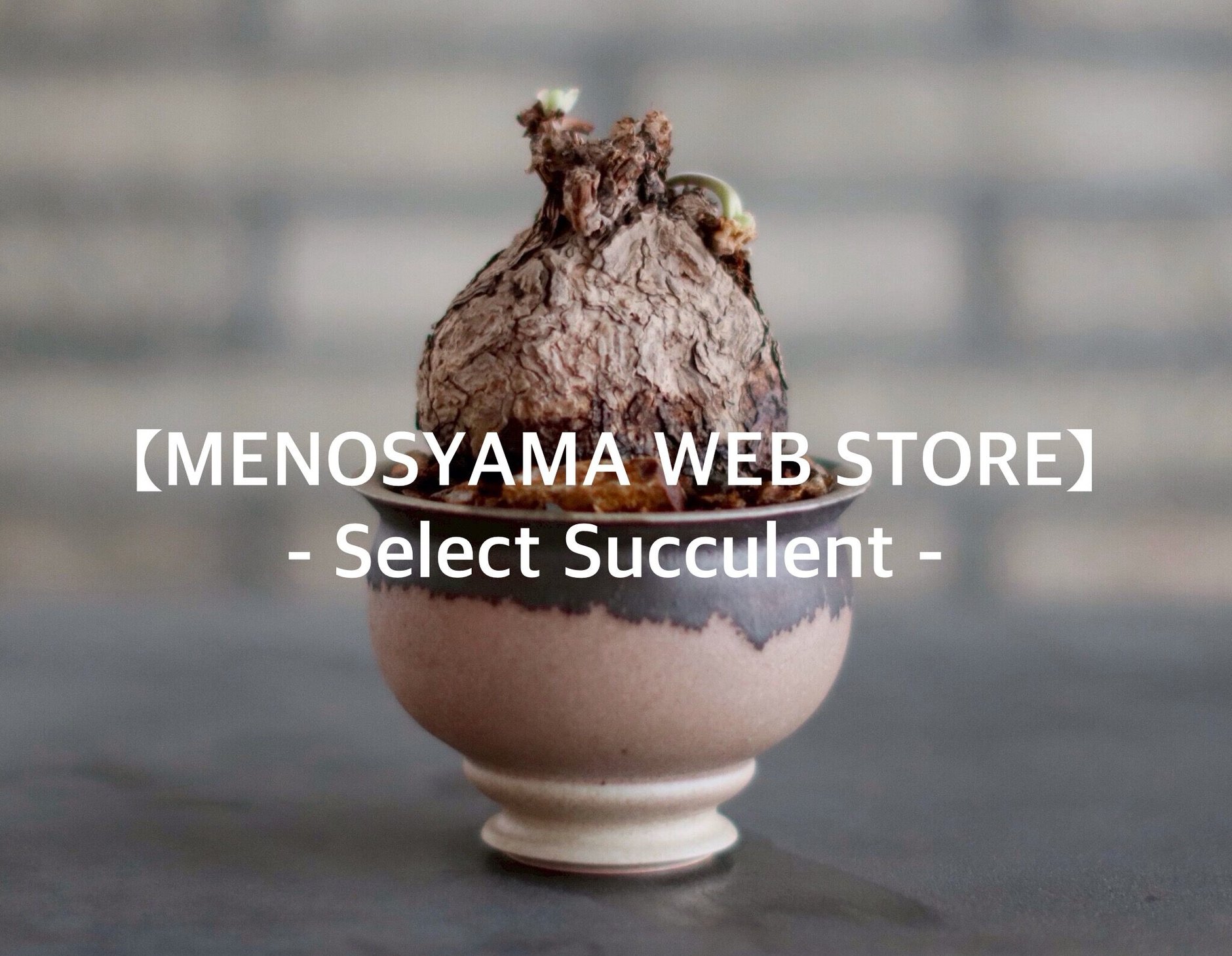 MASSES×M&M Plant Stand 芽の巣山 MASSES×M&M Plant Stand 芽の巣山