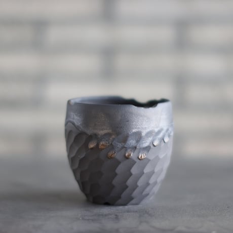CATEGORY N/OH | 芽の巣山
