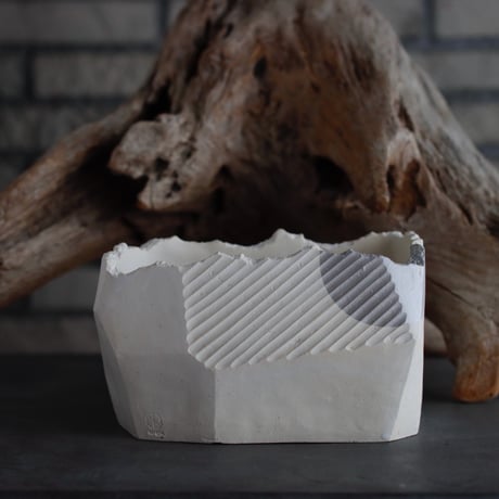 CATEGORY 2025/6/1 20:00~ | 芽の巣山