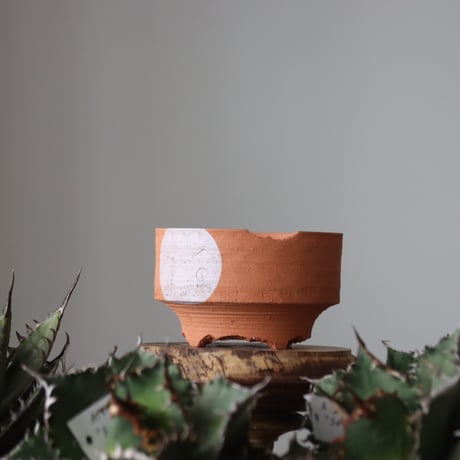 N/OH / M12 / persimmon + Moon / SS   no.421-112