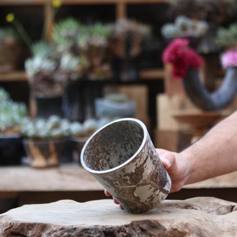 たけろうポット / 大鉢 / シロサビ