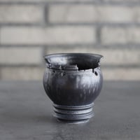 takero pot / mushikui / テツ (2.5号)  no.531-44