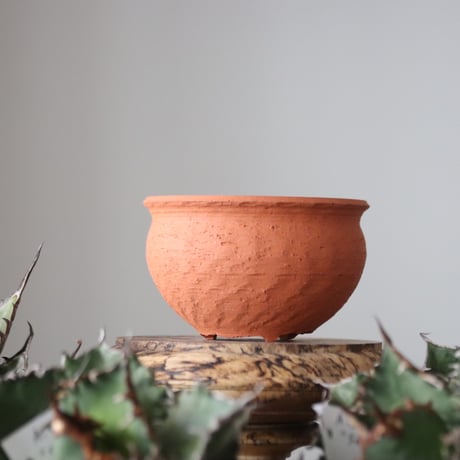 N/OH / コロ鉢 / persimmon + Moon / SS   no.421-125