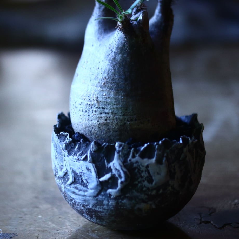 5f0052ed4adba07a319ac06b