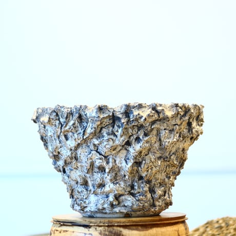 Yuta Uchida / silver rust monst / humanity pot    no.1231-83