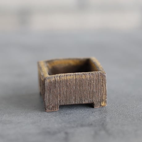 ノアロ　ポット発送☘️限定1株未株分☘️3047【新芽いっぱい⭐️超極上⭐️写楽】 CATEGORY website up | 芽の巣山