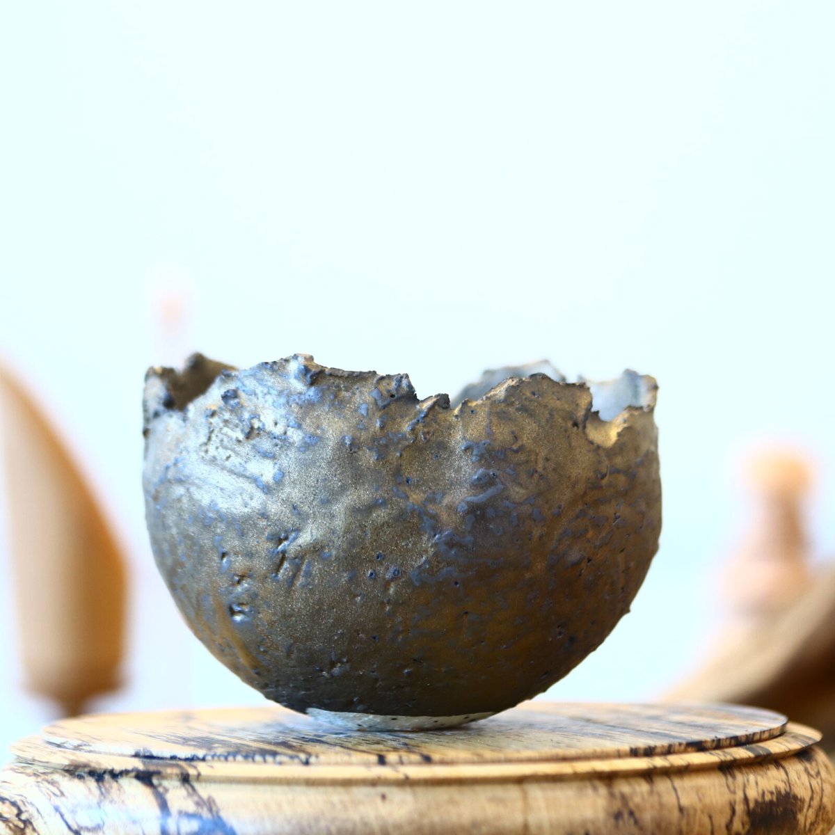 たけろうぽっと　チギリ　コガネ L たけろうポット / チギリ/ コガネ no.903/4 | 芽の巣山