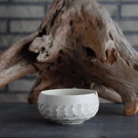 早い者勝ち特価！ 長期管理 現地球 ケラリア ピグマエア 中川智治 作家鉢 早い者勝ち特価！ 長期管理 現地球 ケラリア ピグマエア 中川