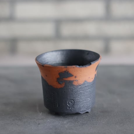 CATEGORY N/OH | 芽の巣山