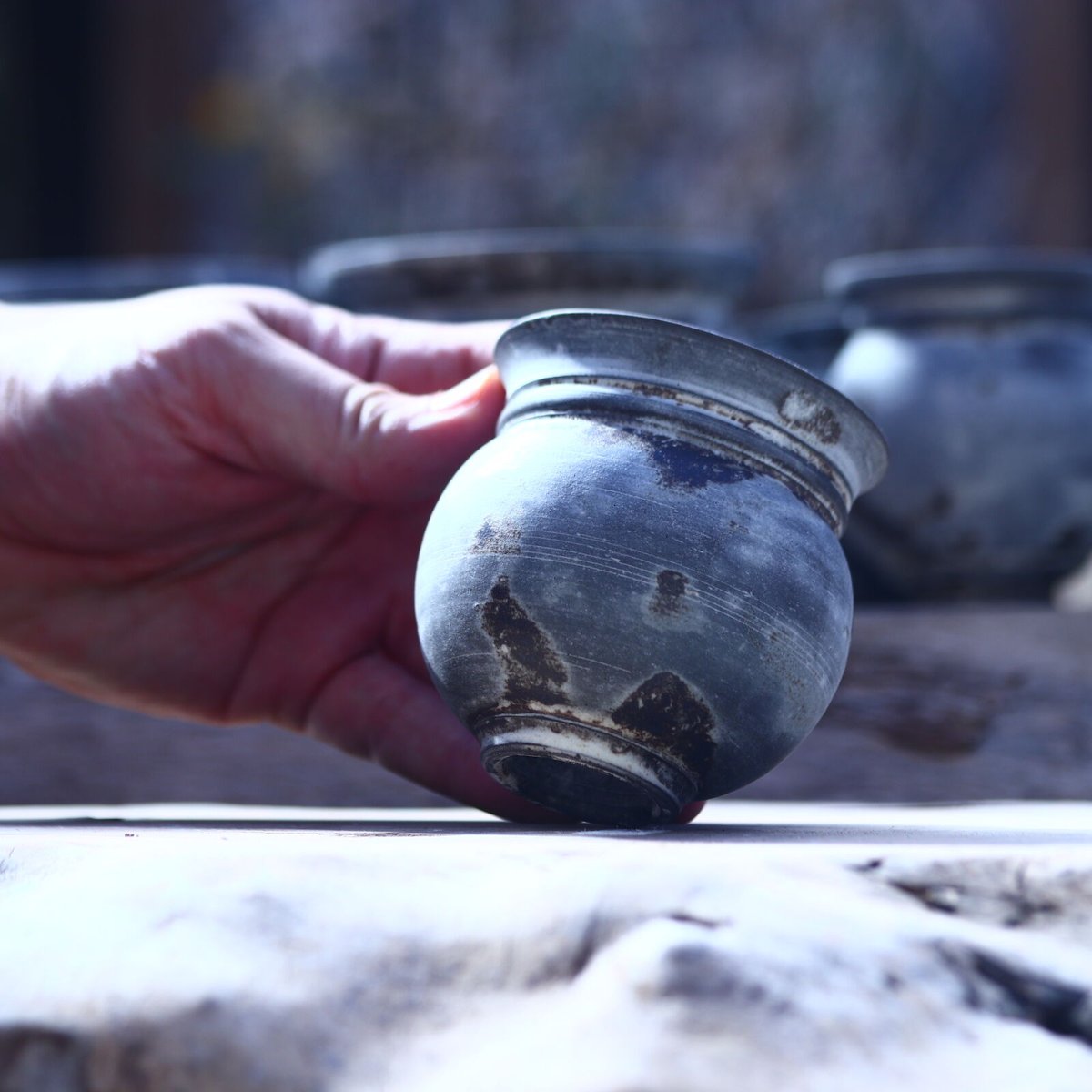 たけろうポット シロサビ ツボ SS no.221-S13 | 芽の巣山