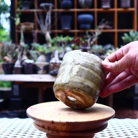 Mie  Maeda 〝swirl″   /   humanity pot       no.539