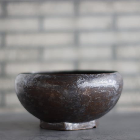 CATEGORY 大鉢 | 芽の巣山