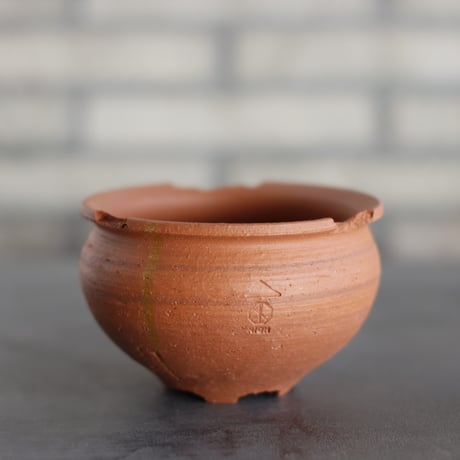 CATEGORY 4号鉢 | 芽の巣山