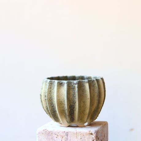 soso/礎礎 /Bowl /Olive Reef (base white)/M   no.212/ORM1