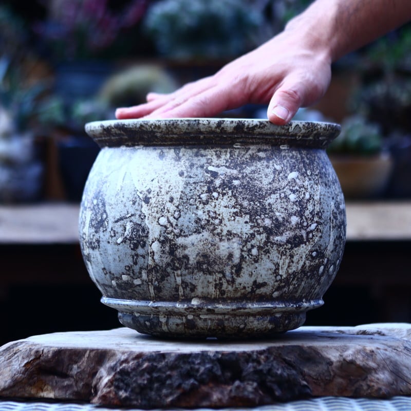 たけろうポット 大鉢 / 壺 / シロサビ no.1226-02 | 芽の巣山