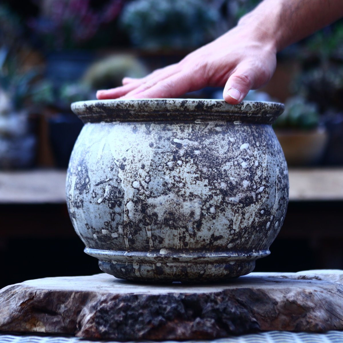 たけろうポット / 大鉢 / シロサビ たけろうポット 大鉢 / 壺 / シロサビ no.1226-02 | 芽の巣山