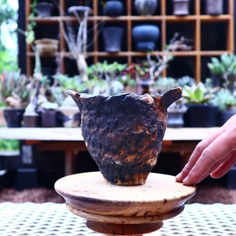 Ricca Okano 〝solaris″   /   humanity pot       no.561