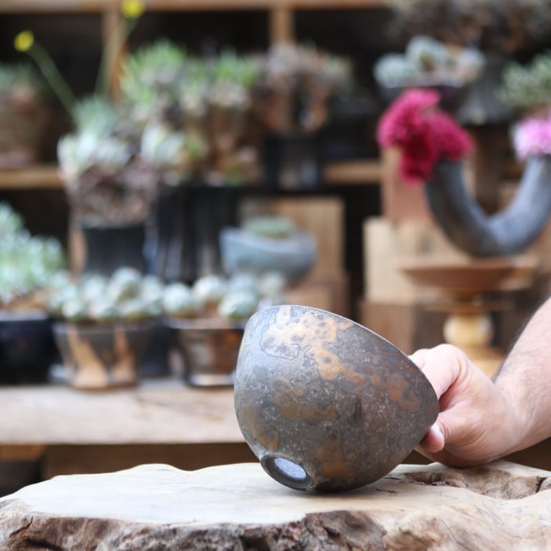 たけろうポット シロサビ　MENOSYAMA たけろうポット シロサビ MENOSYAMA たけろうポット シロサビ