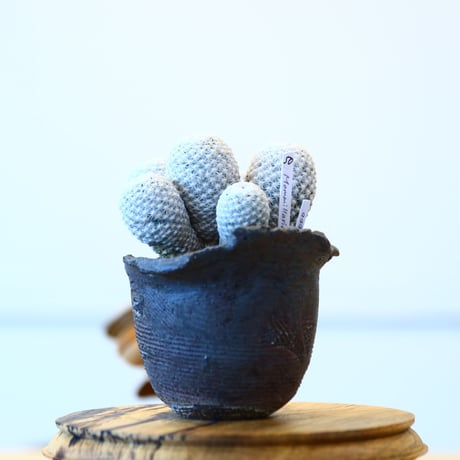 Joint pot × マミラリア白鳥   no.72350