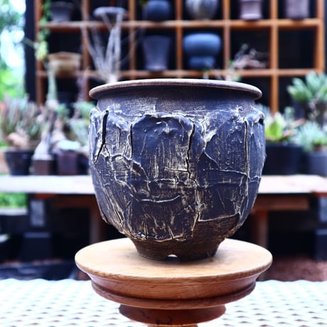 Masato  Akutsu 〝graffito″   /   humanity pot       no558