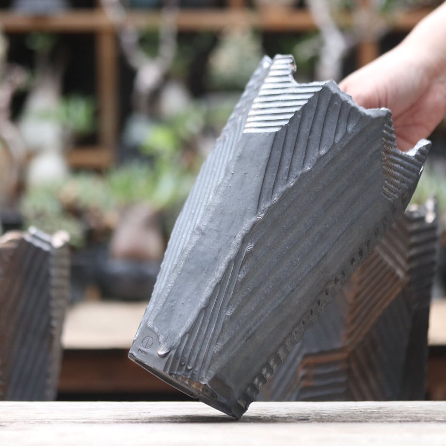 6158ff32edf49f31d2da19dc