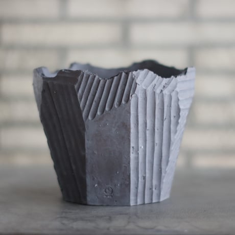 CATEGORY 大鉢 | 芽の巣山