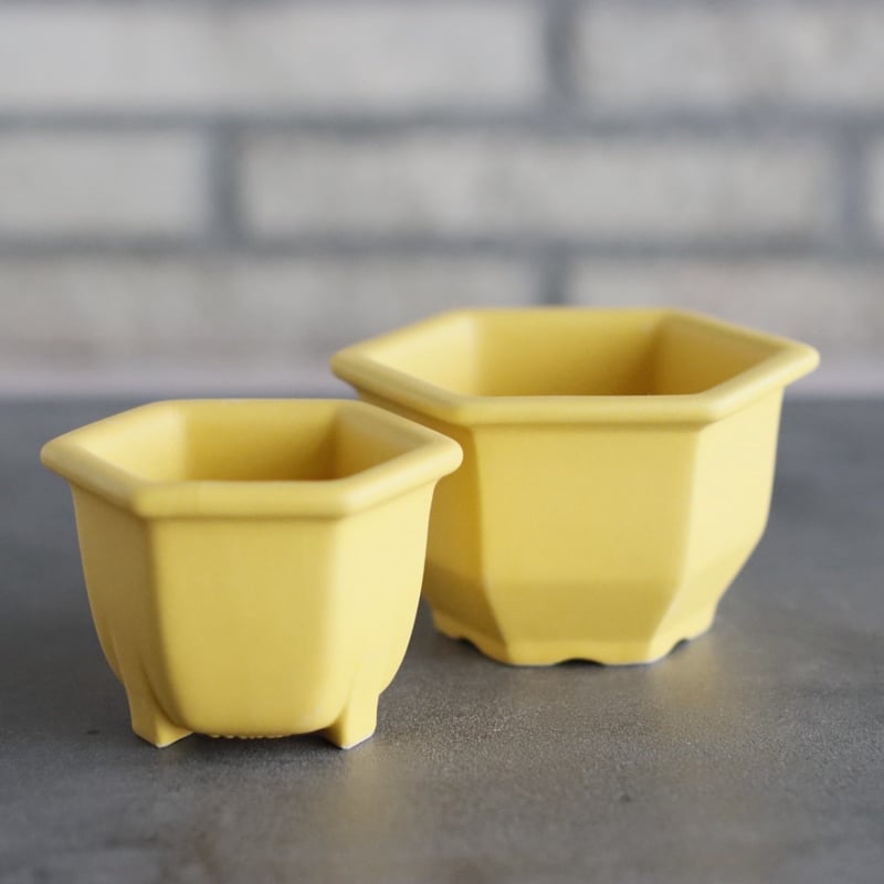 Konect / nos pot / Ukon no.628-12 | 芽の巣山
