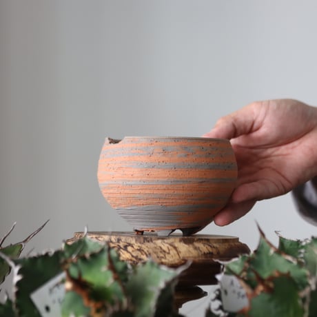 N/OH / MARBLE NOHBLE / コロ鉢 / SS   no.421-53