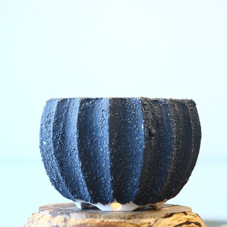 CATEGORY Rintaro Nonaka soso/礎礎 | 芽の巣山
