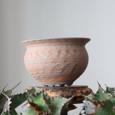 N/OH / MARBLE NOHBLE / コロ鉢 / S   no.421-38