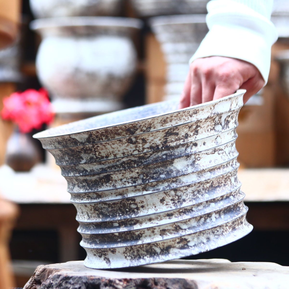 たけろうポット / 大鉢 / シロサビ たけろうポット / 大鉢 / シロサビ no.612-T03 | 芽の巣山