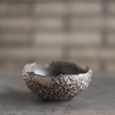 TAKERO POT / Chigiri / Shirosabi (浅鉢) / L (4号) no.928-28